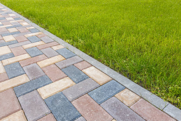 Best Residential Paver Driveway  in Starbuck, MN
